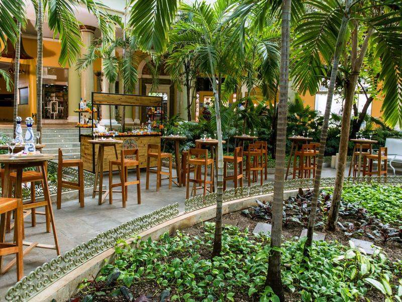 Ristorante all'aperto con sedie e tavoli di legno, circondato da piante tropicali e palme.