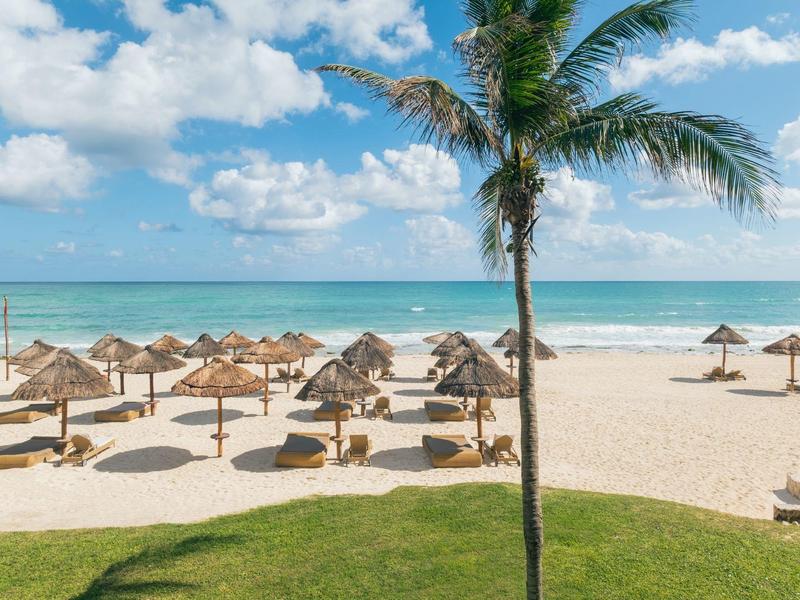 Spiaggia con lettini e ombrelloni accanto a una palma e al mare azzurro.