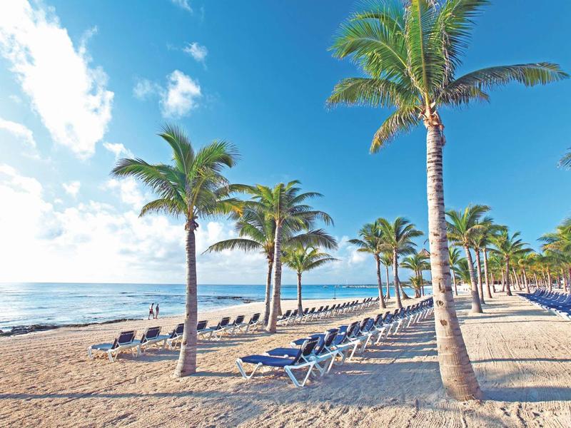 Spiaggia con palme e lettini sotto un cielo blu vicino al mare