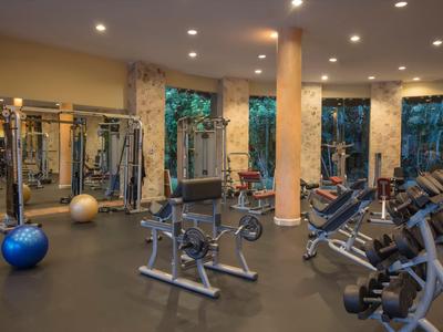 Gimnasio moderno con varias máquinas y grandes ventanales con vistas a la vegetación.