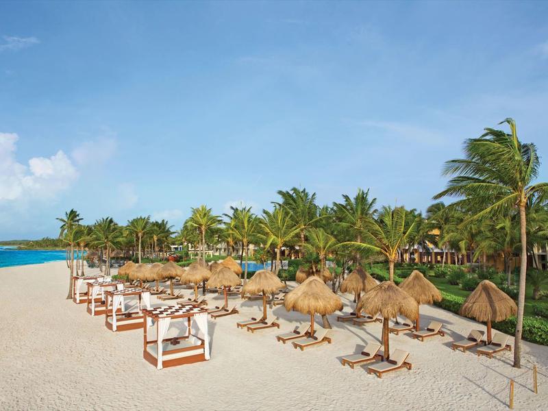 Spiaggia sabbiosa con palme, lettini e ombrelloni di paglia sotto un cielo azzurro.