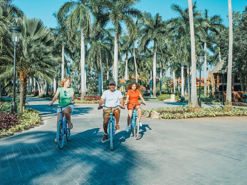 Tre persone vanno in bicicletta su una strada fiancheggiata da palme con tempo soleggiato.