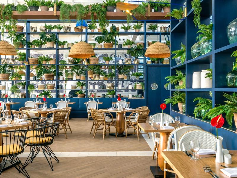 Ristorante moderno con pareti blu, numerose piante e mobili in legno.