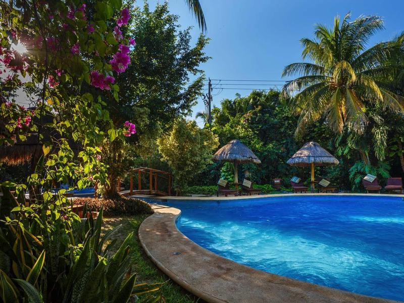 Piscine ronde avec surface d'eau bleue, entourée d'une végétation tropicale luxuriante et de parasols.