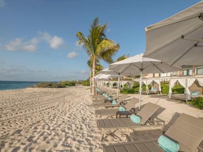 Sandstrand mit Palmen, Liegen und Sonnenschirmen vor klarem blauem Himmel und ruhigem Meer.