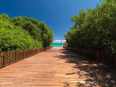 Paradisus La Perla