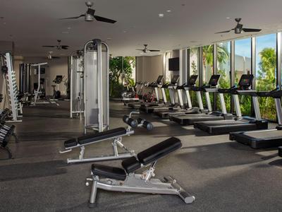 Modern gym with treadmills, weights, and exercise machines, plenty of natural light and green outdoor view