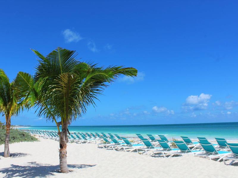 Playa de arena con palmeras, muchas tumbonas y cielo azul claro junto al mar.