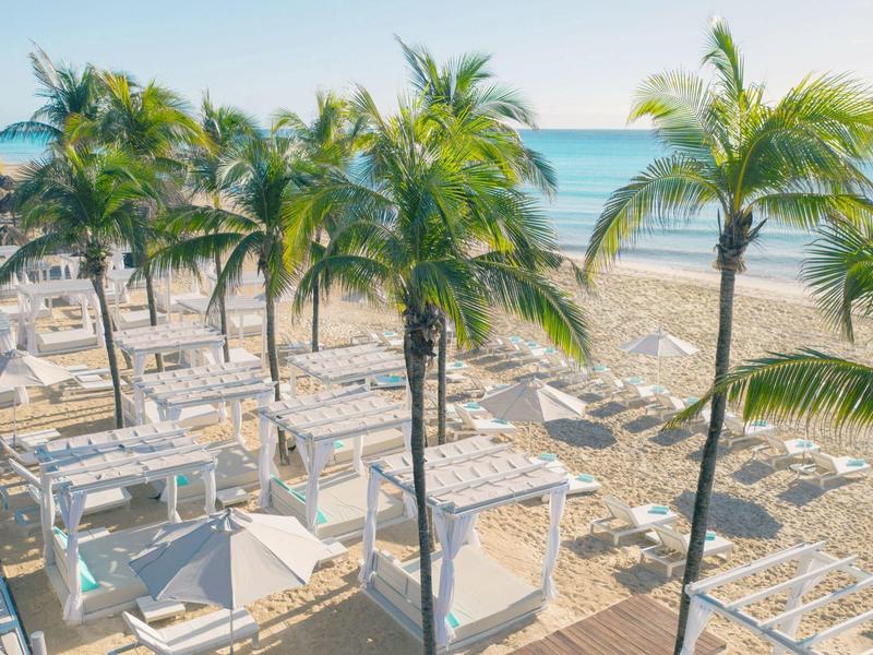 Hotel de playa con palmeras, tumbonas y vista al mar azul bajo un cielo despejado.