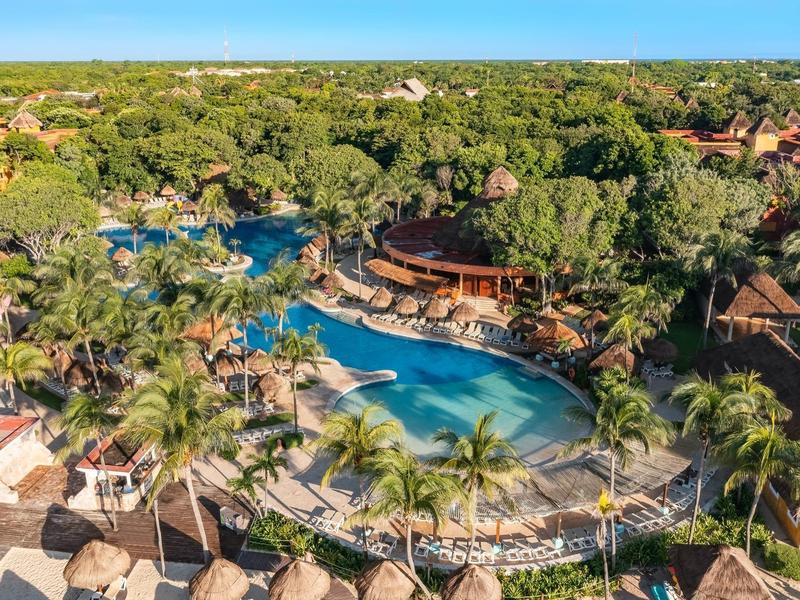 Large hotel pool surrounded by tropical greenery and palm trees under a blue sky.