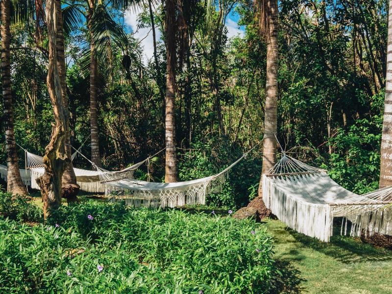 Diverse amache tese tra palme in un giardino tropicale