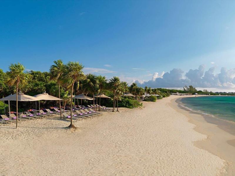 Ampia spiaggia sabbiosa con palme, ombrelloni e acqua azzurra limpida sotto un cielo soleggiato.