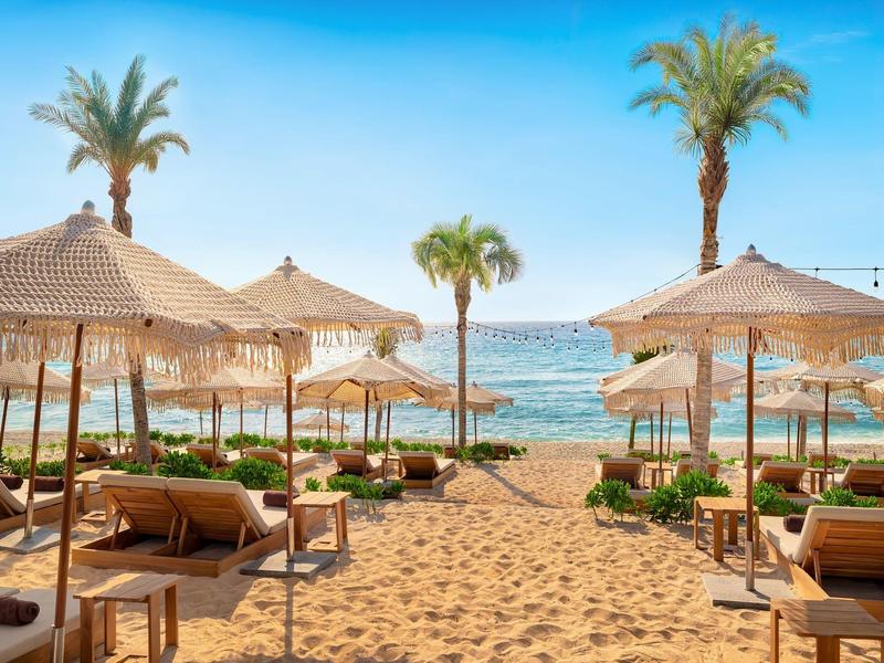 Plage avec parasols, transats et palmiers au bord de la mer par une journée ensoleillée.
