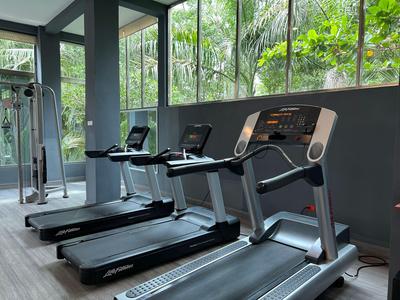 Attrezzature da palestra moderne con vista su piante verdi in una stanza luminosa.