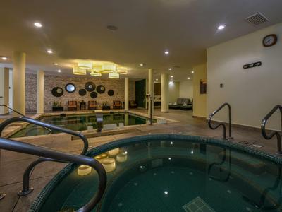 Area interna con vasca idromassaggio, posti a sedere e decorazioni murali in un hotel.