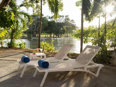 Dos tumbonas blancas con toallas azules junto a un lago soleado con palmeras.