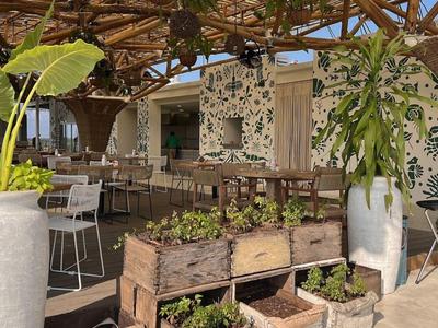 Offener Außenbereich eines Cafés mit Pflanzen, Tischen und Stühlen unter einem Holzdach.