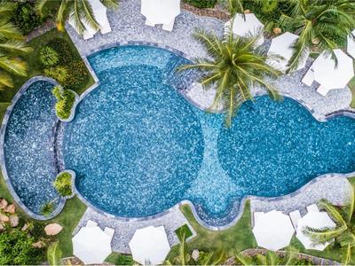 Rechter geformter Hotelpool umgeben von grünen Palmblättern und weißen Liegestühlen.