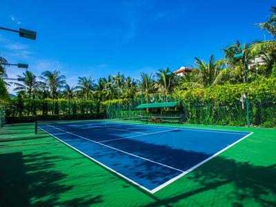 Tennisplatz mit blauem Belag, umgeben von Palmen und klarem blauem Himmel.