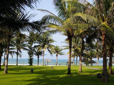 Groen gazon met palmbomen langs een strand met kalme zee en blauwe lucht.