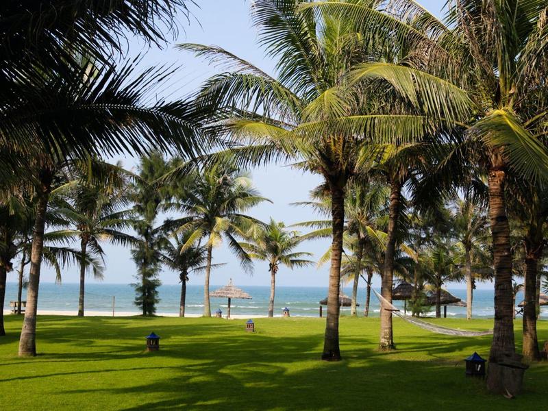 Groen gazon met palmbomen langs een strand met kalme zee en blauwe lucht.