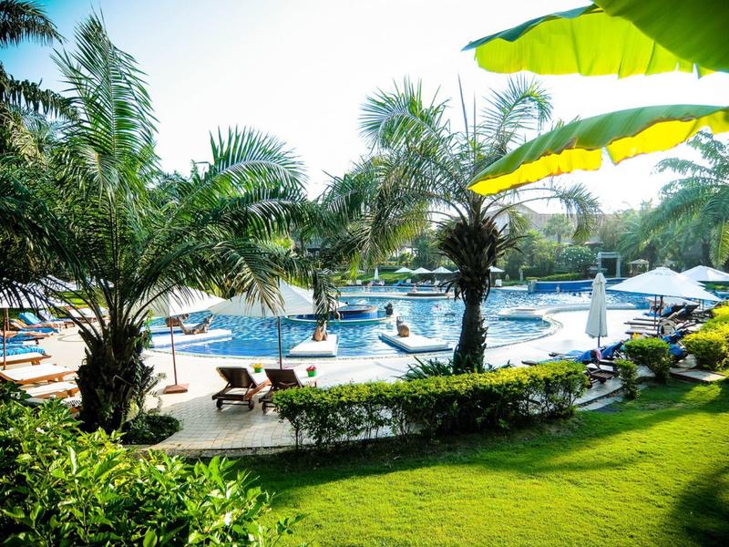Zwembad met ligstoelen, parasols en palmbomen in een tropisch resort
