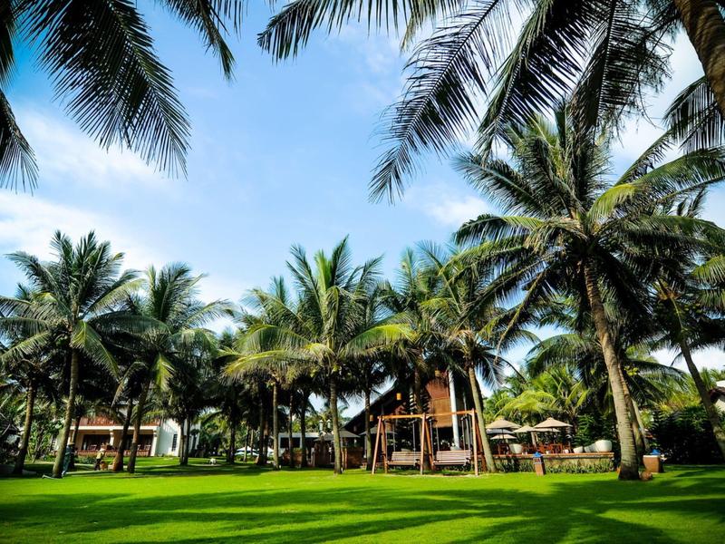 Groen gazon met hoge palmbomen en houten huizen onder een blauwe lucht