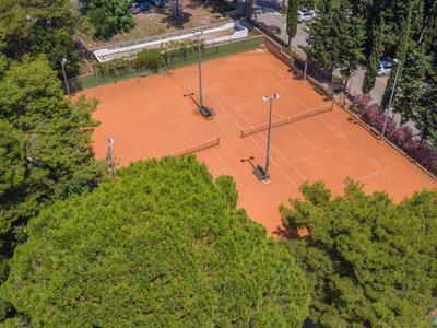 Luchtfoto van een leeg oranje gravel tennisbaan omringd door groene bomen.