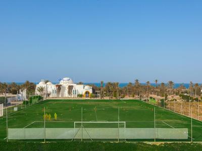 Large green soccer field with white goal under blue sky in an open area.