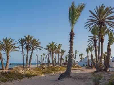 Palm trees along a coastline with blue sky and sea background