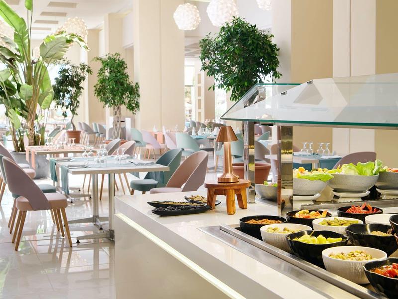 Buffet con platos variados en un restaurante luminoso con sillas y plantas decorativas.