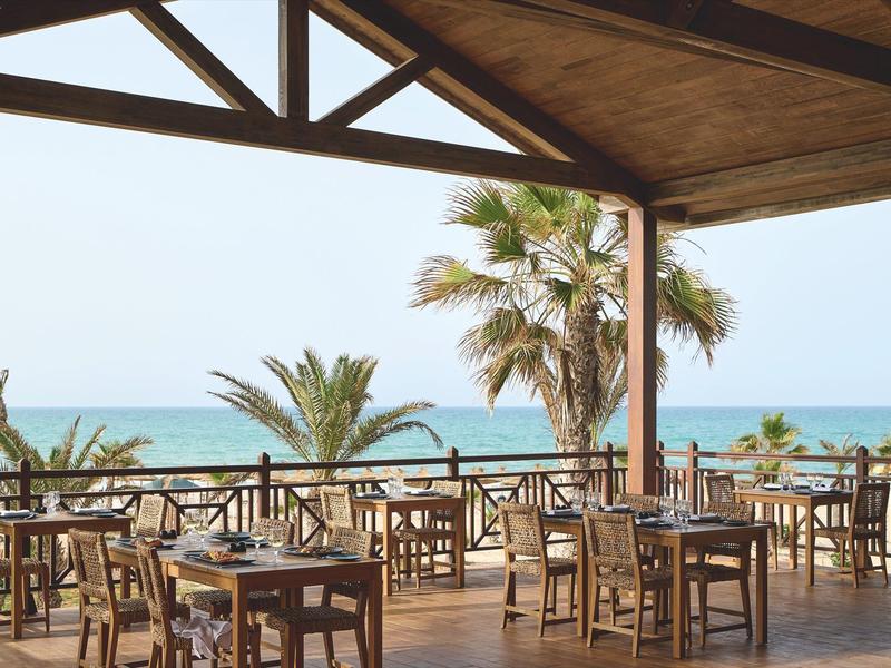 Terraza abierta con mesas y sillas de madera frente al mar y palmeras bajo un techo de madera.