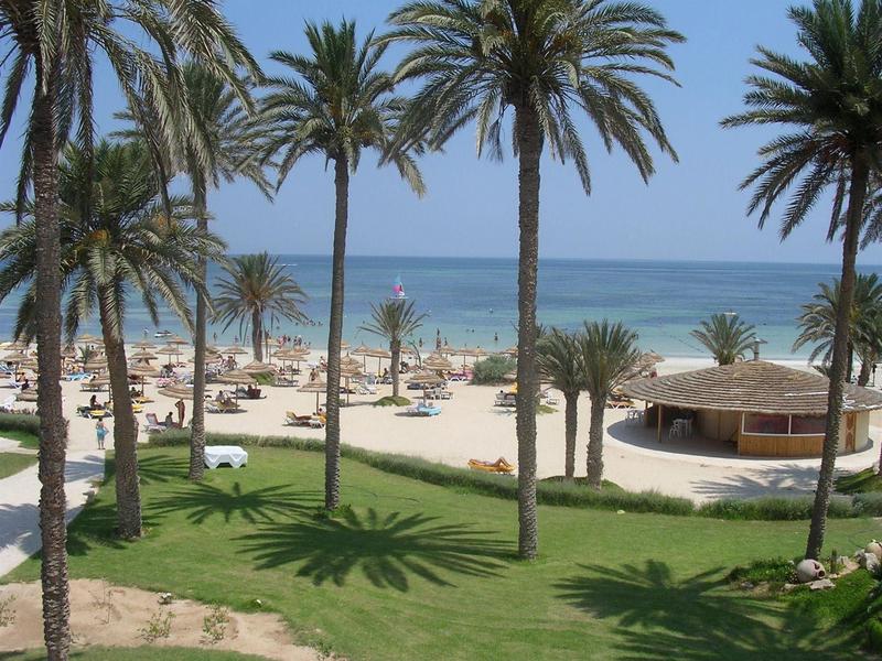 Zelená zahrada s palmami a pláž s lidmi u moře v pozadí.