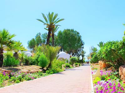 Ein heller, gepflasterter Weg führt durch einen grünen Garten mit Palmen und bunten Blumen.