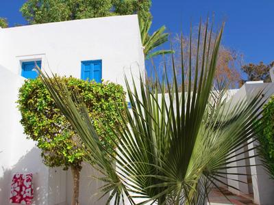 Weißes Ferienhaus mit blauen Fenstern und tropischen Pflanzen im Garten unter klarem Himmel.