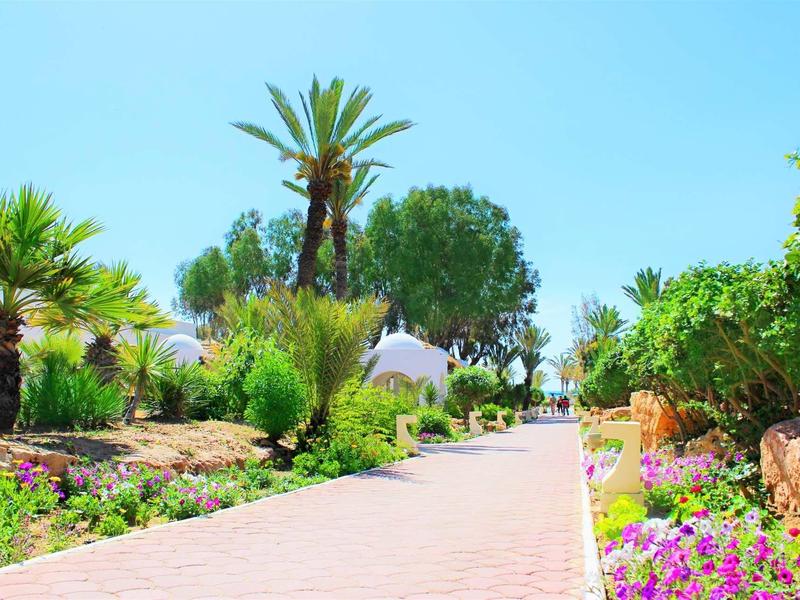 Large allée pavée avec palmiers, fleurs colorées et arbustes sur un domaine hôtelier ensoleillé.