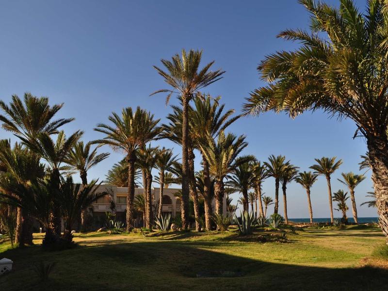 Palmy w słonecznym ogrodzie z widokiem na morze w tle.