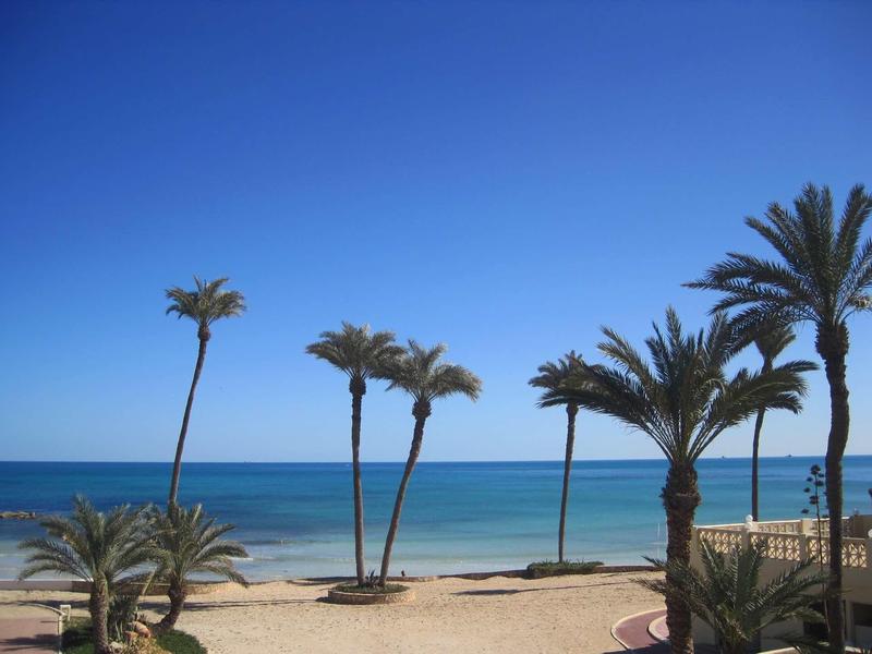 Plage avec des palmiers et un ciel bleu clair au-dessus de la mer