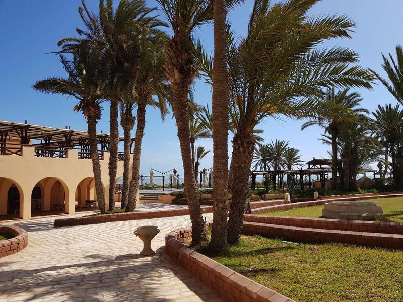 Giardino dell'hotel con palme, aree di sosta e vista sul mare sotto cielo limpido.