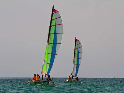 Dje085 14