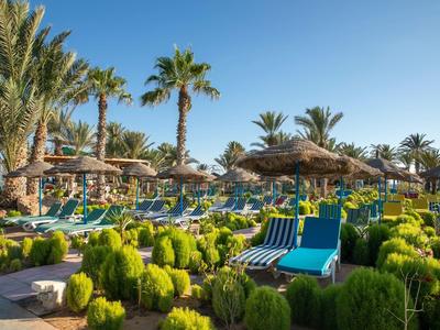 Zona dell'hotel soleggiata con lettini, palme e arbusti verdi decorativi sotto un cielo blu