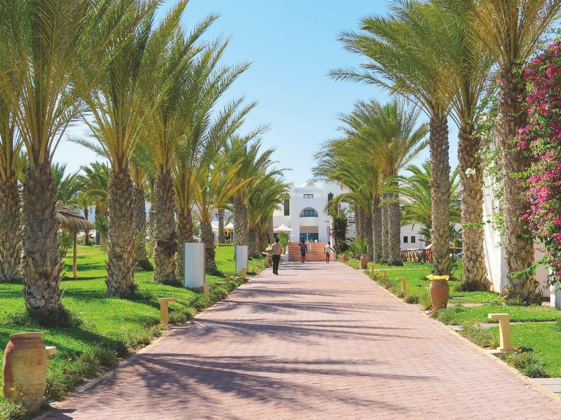 Ein breiter Weg mit Palmen und blühenden Kletterpflanzen führt zu einem weißen Gebäude.