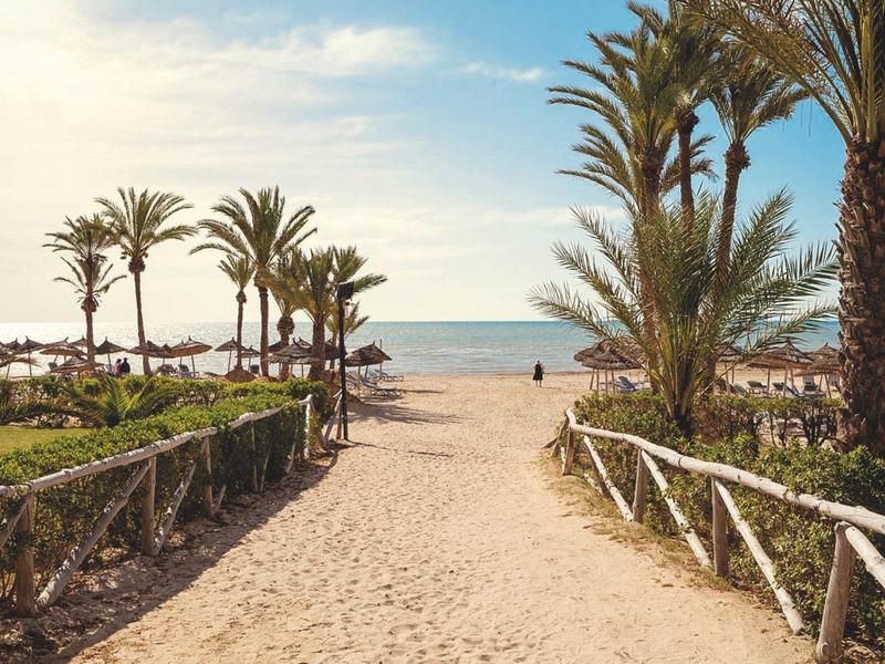 Sandiger Weg mit Palmen führt zum ruhigen, blauen Meer unter leicht bewölktem Himmel.