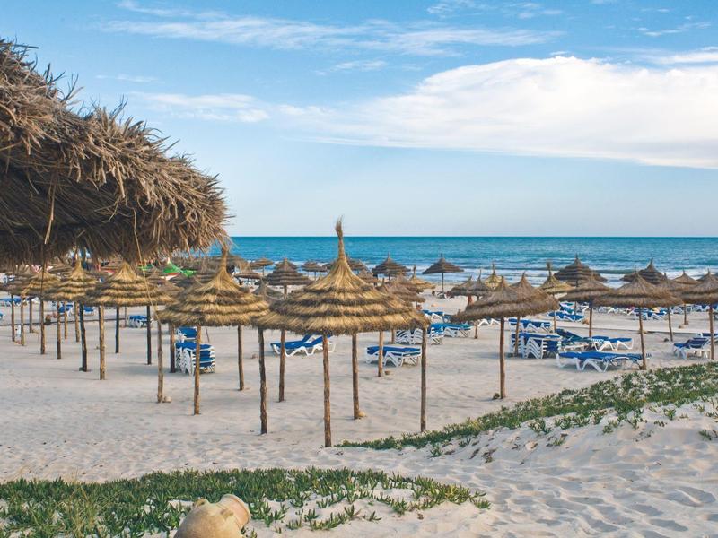 Spiaggia sabbiosa vuota con più ombrelloni di paglia e sedie a sdraio blu sotto un cielo azzurro.