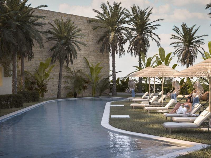 Area piscina con lettini e palme in un ambiente tranquillo dell'hotel.