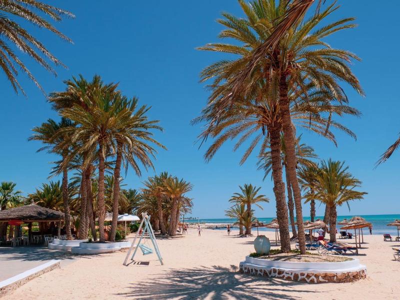 Sandy beach with palm trees, sun loungers, and clear blue sky at a sunny holiday spot