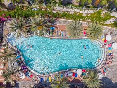 Großer Pool mit Palmen, Sonnenschirmen und Liegestühlen, umgeben von grünen Pflanzen.