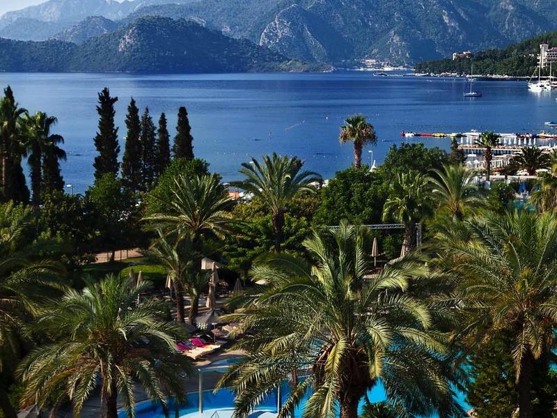 Vista de una zona de piscina con palmeras y montañas al fondo junto al agua bajo cielo azul.