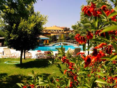 Poolbereich mit Liegestühlen und roten Blumen im Garten eines Hotels bei sonnigem Wetter.