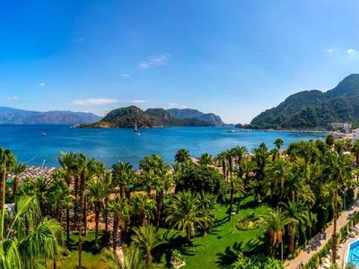 Widok na tropikalne wybrzeże z palmami, górami i niebieskim basenem w ośrodku.